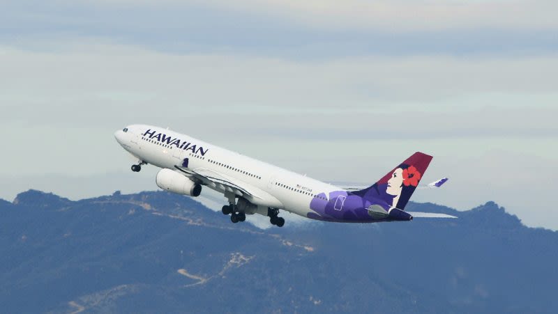 Brake issue causes Hawaiian Airlines flight to overshoot runway