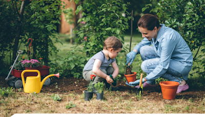 Before You Make That DIY Pesticide, Read This