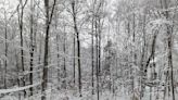 What does a snowy fall mean for winter?