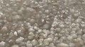 Ice eggs smash into frozen coast of Lake Erie