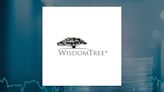 WisdomTree Emerging Markets High Dividend Fund (NYSEARCA:DEM) Shares Up 0.6%