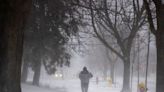 Winter storm causes havoc across Canada, disrupts holiday travel