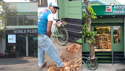 Mumbai: BMC Files Complaint After Tall Tree Chopped In Juhu; Locals Allege Inefficiency Of Police To Nab Perpetrator