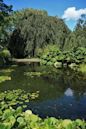 Hortus Botanicus Leiden