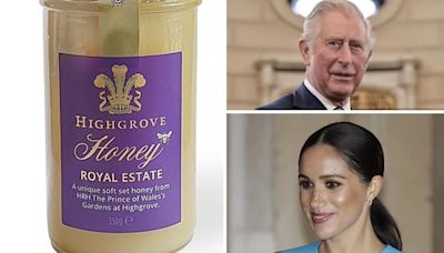 King Charles stings Meghan Markle with behind-the-back ‘Royal bees’ move as tensions brew