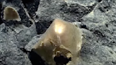A Mysterious Golden Orb Has Appeared On Alaska’s Ocean Floor ‘Like A Horror Movie'