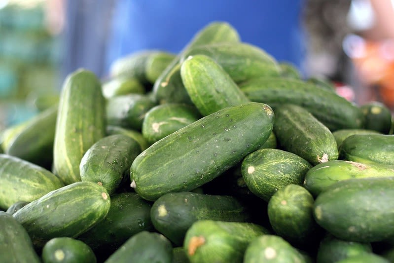 Multistate, cucumber-linked Salmonella outbreak rises to 449 cases