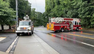 Tree falls in north Atlanta, temporarily blocks Roswell Road after storms