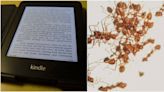電容觸控判定出錯 電子書閱讀器赫見「螞蟻下單」買科幻小說