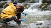 What are PFAS, the 'forever chemicals' showing up in drinking water? An environmental health scientist explains