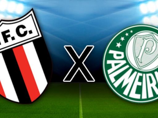 Botafogo x Palmeiras: onde assistir, horário e escalação das equipes