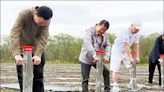 池上綠金產業 打造全國最大薰衣草田