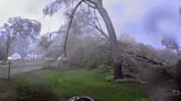 Watch: Michigan tornado flattens 'every single tree on property' in 45 seconds