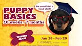 Start the new year teaching your dog the basics, Parks & Recreation offering dog training