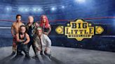 Will There Be a Big Little Brawlers Season 2 Release Date & Is It Coming Out?