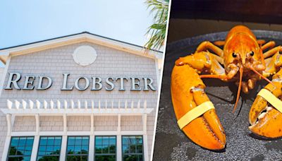 Red Lobster dishwasher rescues ‘one-in-30 million’ orange lobster