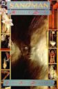 The Sandman (comic book)