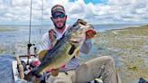 'New' fish species in Florida, North Carolina. What's so special about the Florida bass?