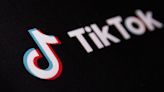 TikTok to label AI-generated content from OpenAI and elsewhere