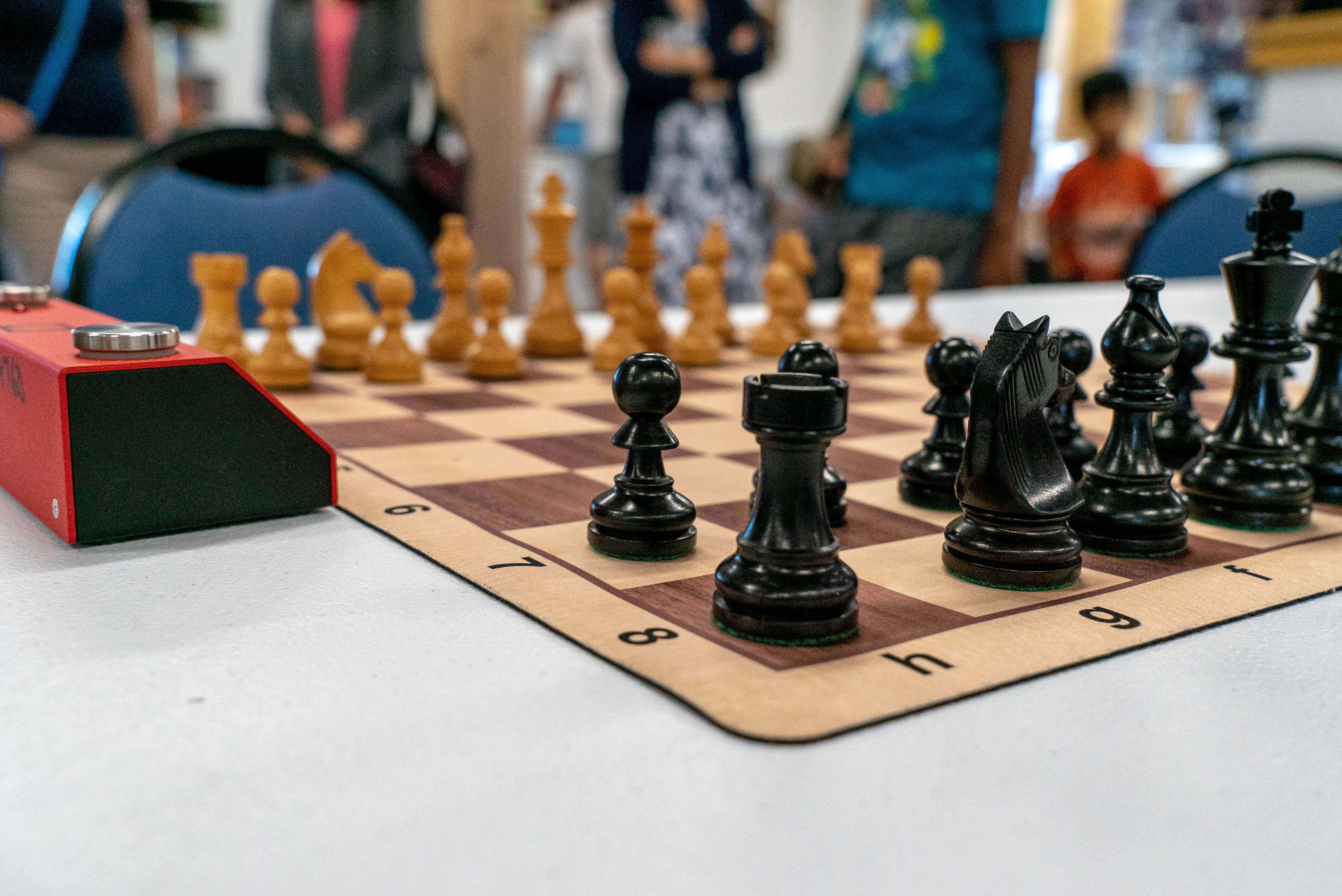 Gainesville the 'queen' city for budding chess culture