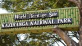 Assam floods: 17 Kaziranga National Park animals die - The Shillong Times