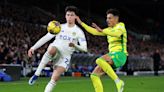 How to watch Norwich vs Leeds: TV channel and live stream for Championship play-off today