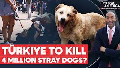 Turkey Approves Culling of Stray Dogs, Sparks Mass Protests |