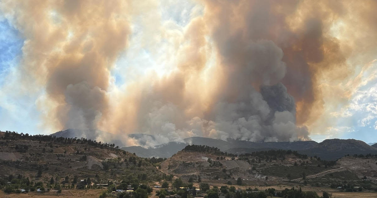 Neighbors evacuate animals near "pretty terrifying" Alexander Mountain Fire in Colorado