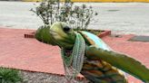Somebody is targeting Galveston's popular art turtles