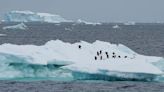 放眼南極洲 中國重啟建設第5座科學考察站