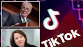 TikTok ban passed Congress with major sweetener for Democrats: ‘A political tool’