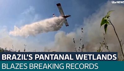 Blazes in Brazil's Pantanal wetlands break records before fire season officially begins - Latest From ITV News