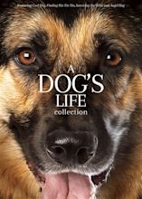 A Dog's Life Collection [DVD] - Best Buy