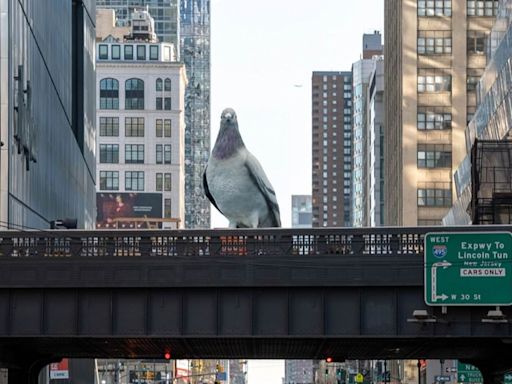 There's a 16ft pigeon sitting on an iconic New York City tourist site