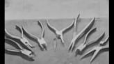 Retrotechtacular: How Not To Use Hand Tools