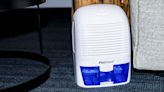 We Found the Best Dehumidifiers for Reducing Moisture, Mugginess, and Mildew in Your Home