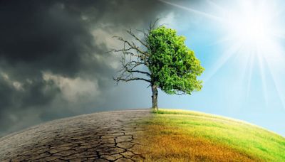 Economic Survey seeks to promote Indian way of tackling climate change