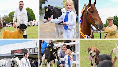 GALLERY: Here are our favourite pictures from day two of the Suffolk Show