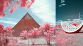 Infrared Photos Capture the Quirkiness of the Australian Outback