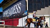 Mystik Dan favored in Preakness, but quick turnaround poses problem