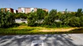 Instalan la iluminación nocturna en el río Manzanares pese a la oposición de ecologistas y 85 científicos