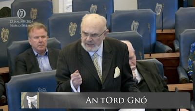 David Norris’s Seanad seat unlikely to be filled before general election