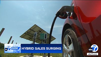 Why hybrid cars sales are growing while EVs are hitting speed bump