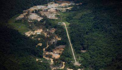 A batalha tecnológica em áreas protegidas da Amazônia