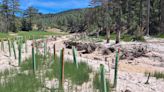 Se retiran los sedimientos de caolín en dos arroyos del Alto Tajo