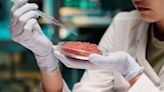 Why the Sale of Lab-Grown Meat Is Banned By Some U.S. States
