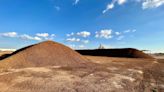 Tired of bugs, Levelland residents hope red flour beetle infestation abated soon