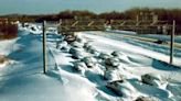 Do you remember? 46 years ago today, the Blizzard of ‘78 hit the region