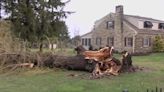Weather damage caused in Lackawanna County