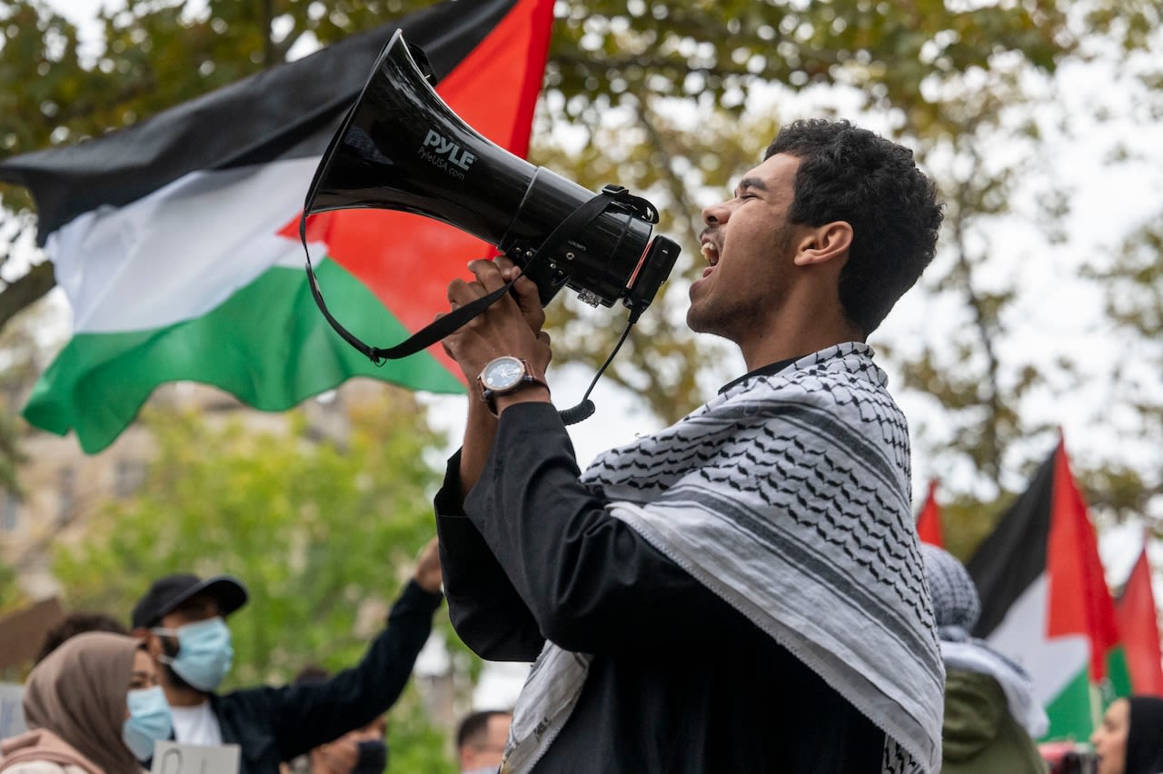 What pro-divestment and anti-genocide demonstrations look like on college campuses